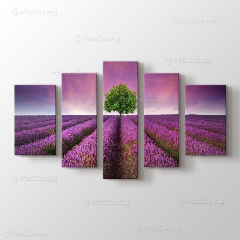 Lavanta Tarlası görseli.