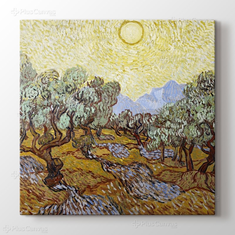 Olive Trees görseli.