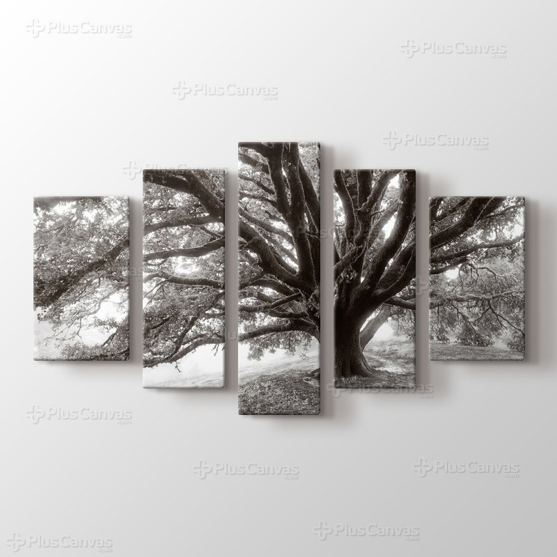 Dev Ağaç görseli.