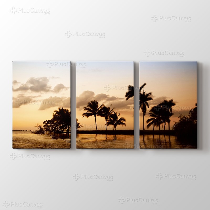 Palms in Ocean görseli.