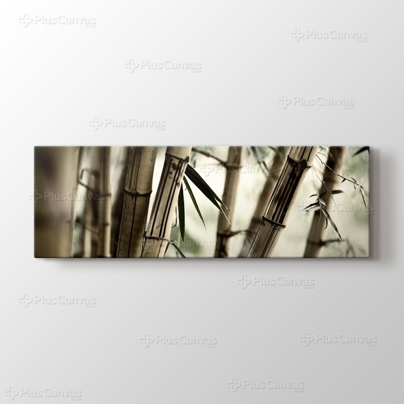 Bamboo görseli.