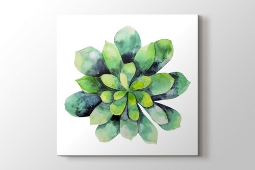 Cripto Succulent görseli.