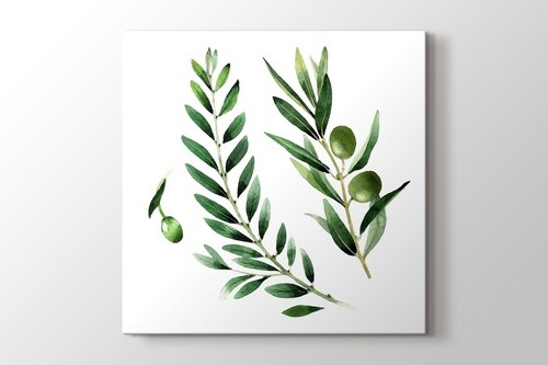 Zeytin Dalı görseli.