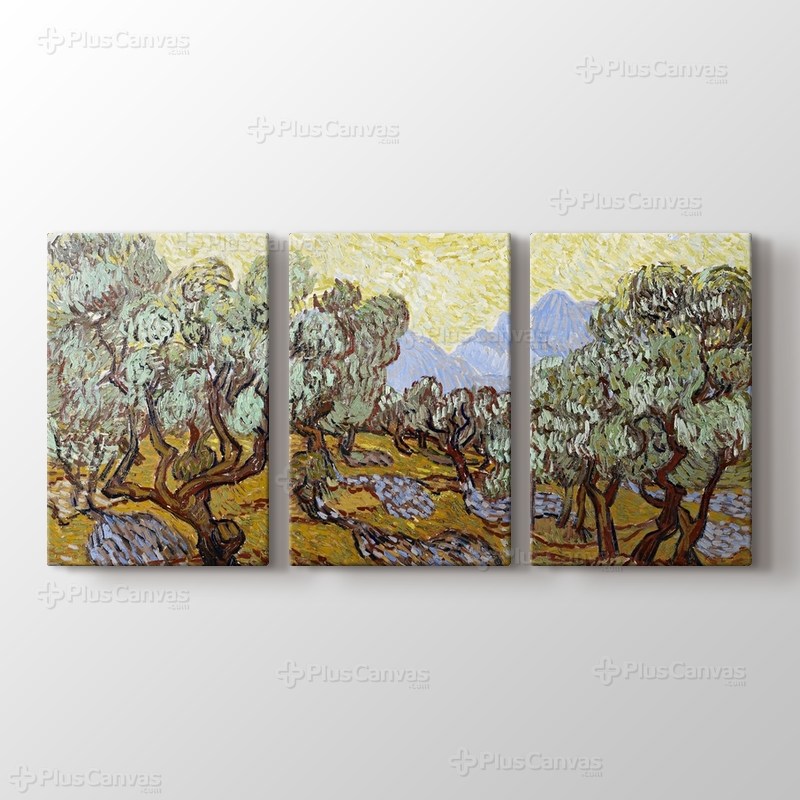 Olive Trees görseli.