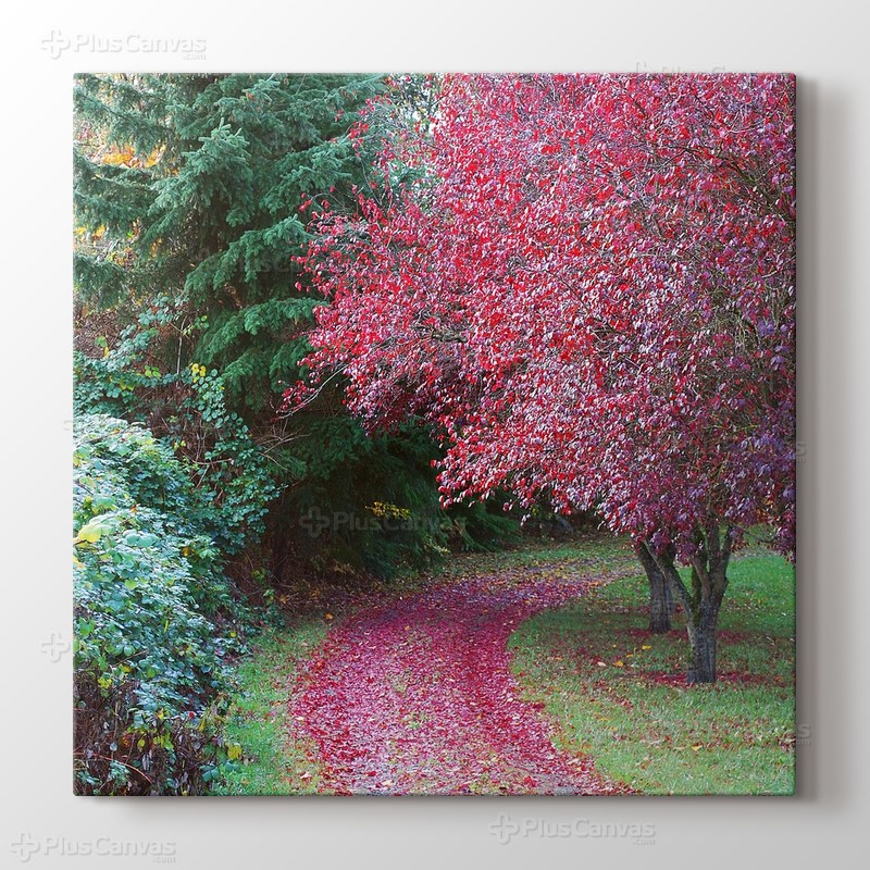 Seattle - Autumn görseli.