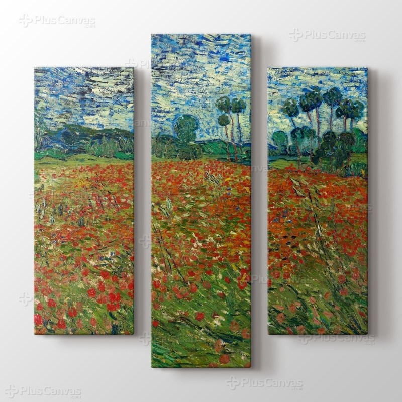 Poppy Field görseli.