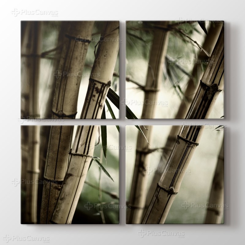 Bamboo görseli.