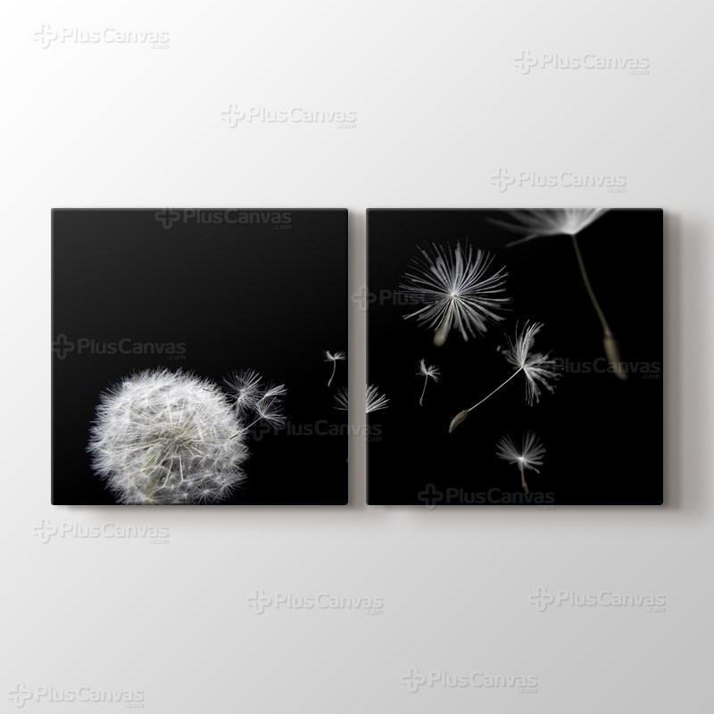 Karahindiba görseli.