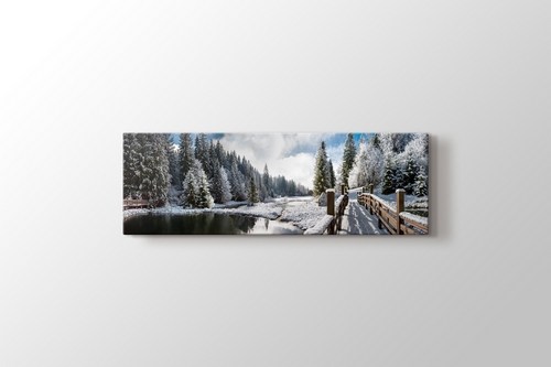 Carpathians görseli.