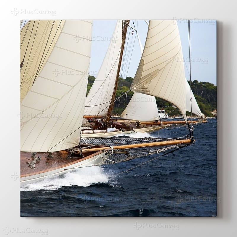 Sailing Team görseli.