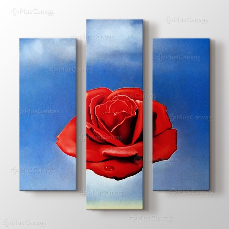 Meditative Rose görseli.