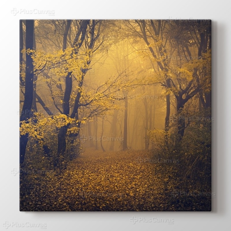 Sonbaharda sisli orman patikası görseli.