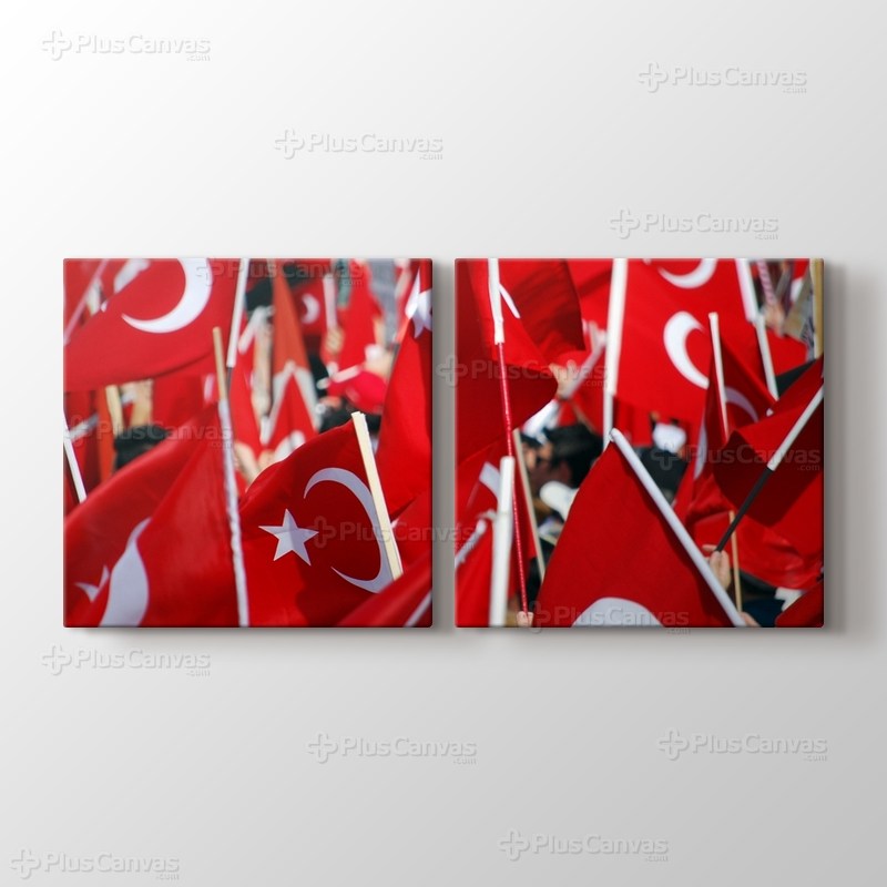 Izmir - Republican Rally 2009 görseli.