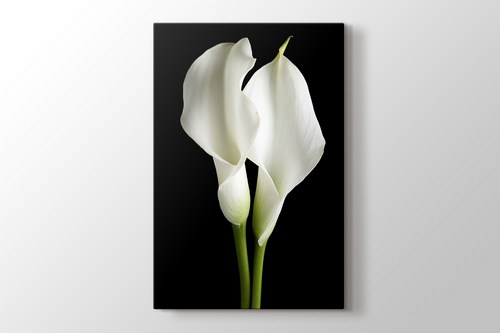 Lillies on Black görseli.