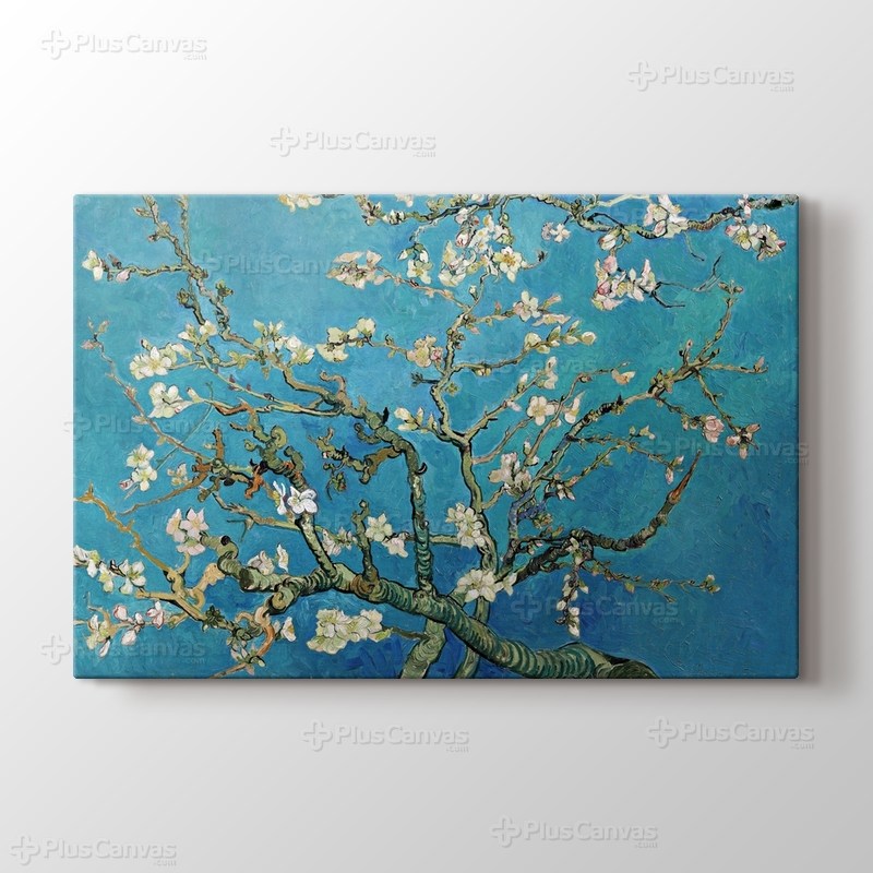 Çiçek Açan Badem Ağacı - Almond Blossom görseli.