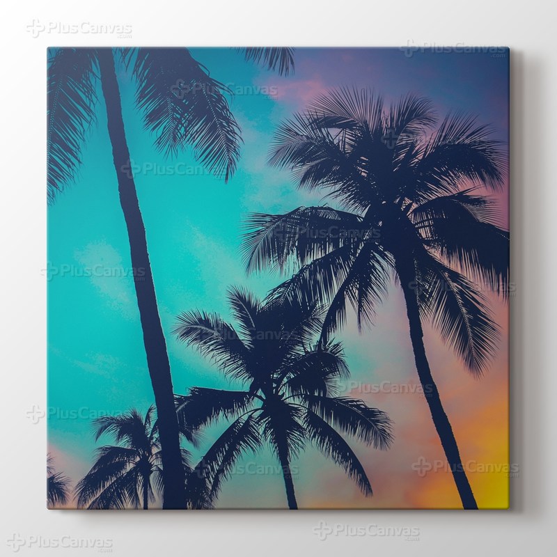 Palm Sky görseli.