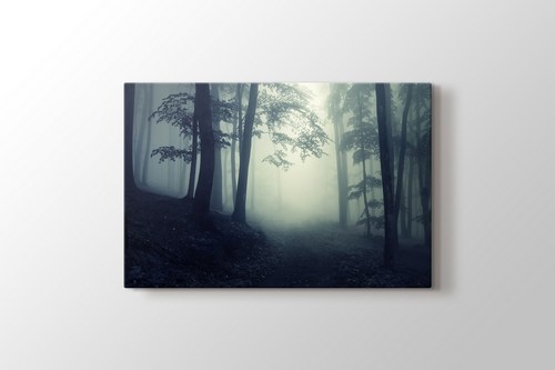 Forest görseli.