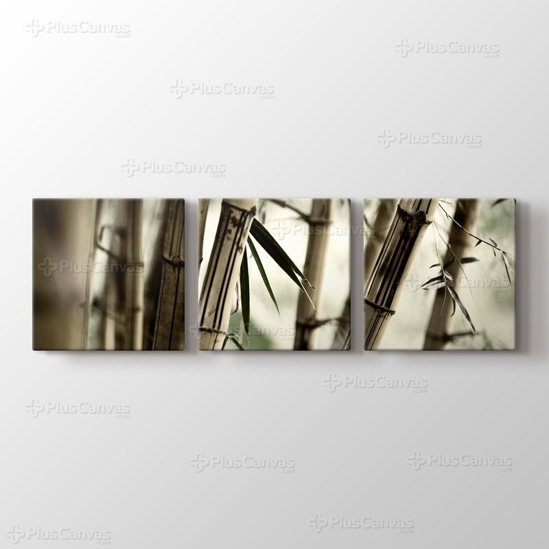 Bamboo görseli.