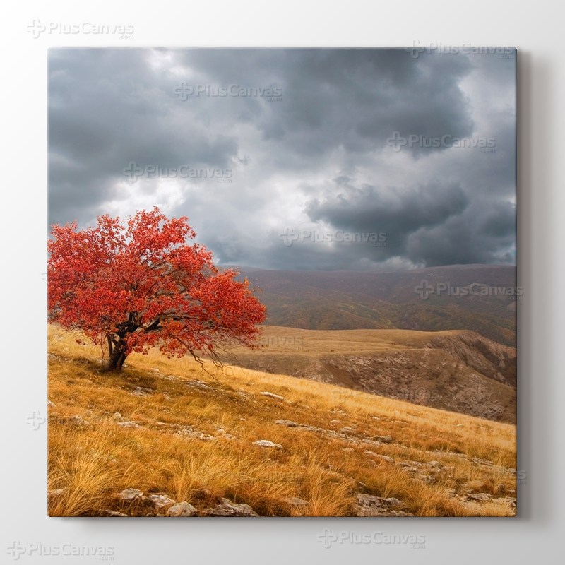 Red Tree görseli.