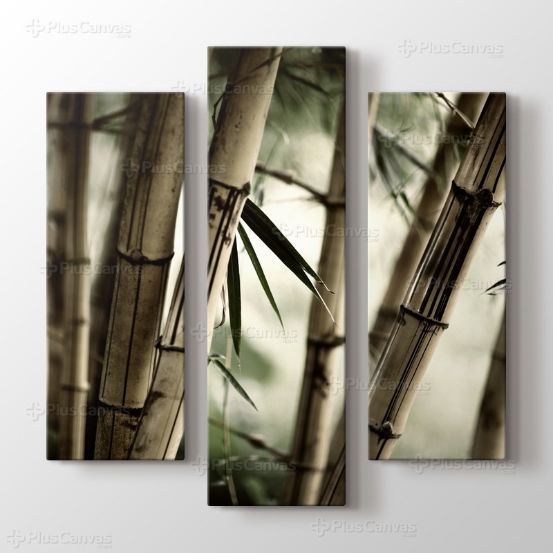 Bamboo görseli.
