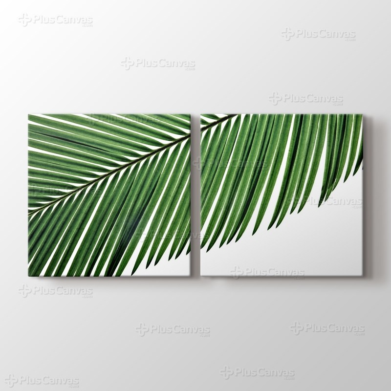 Palmiye Yaprağı görseli.