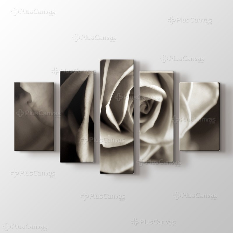 Sephia Flower Close-Up görseli.