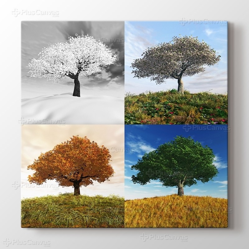 Four Seasons görseli.