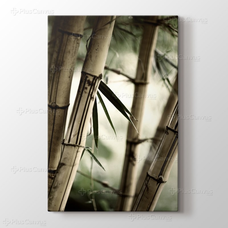 Bamboo görseli.