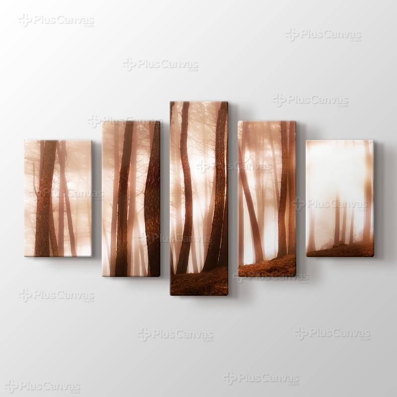 Sunlight through Trees görseli.