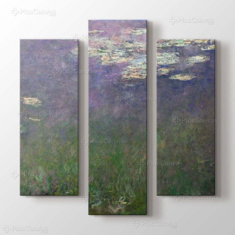 Water Lilies - Agapanthus görseli.