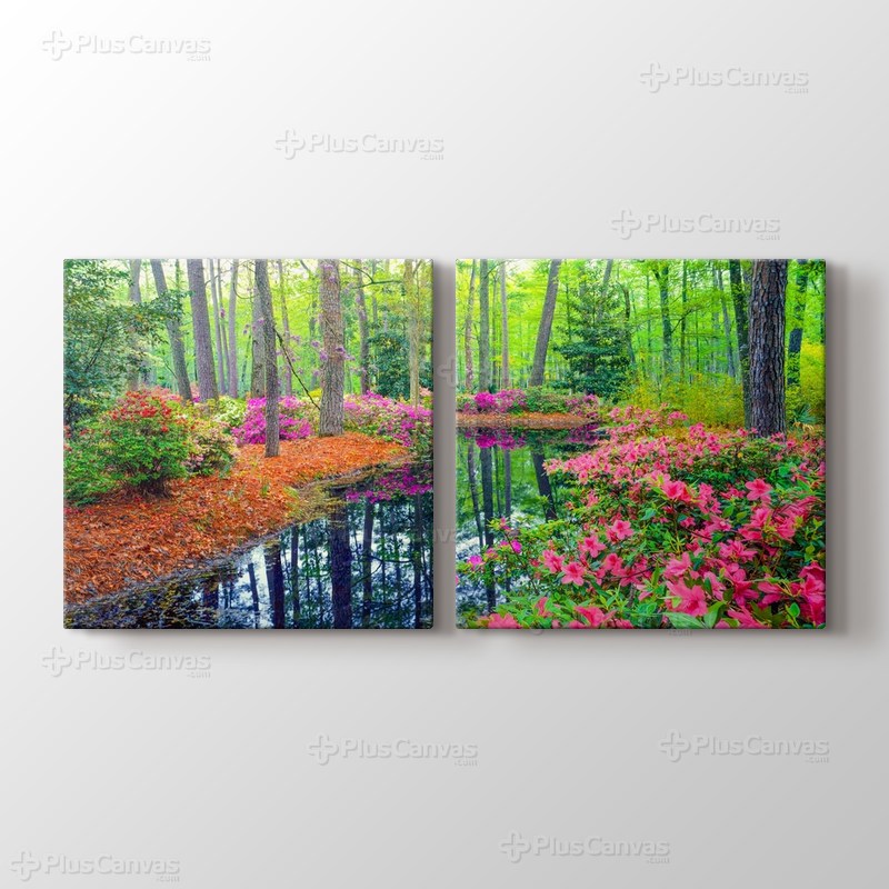 Spring Azalea Blossoms In Southern Woodland Garden görseli.