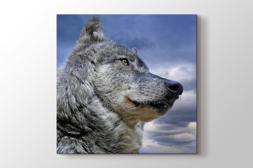 Wild Wolf görseli.