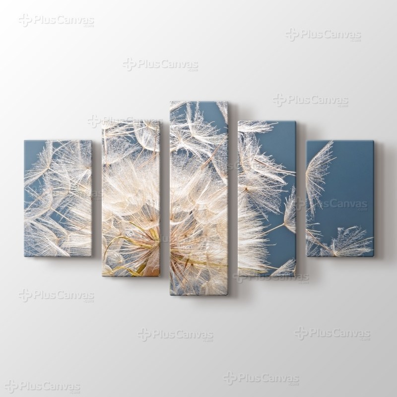 Karahindiba görseli.