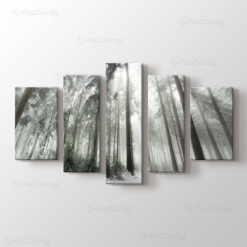 Winter Forest görseli.