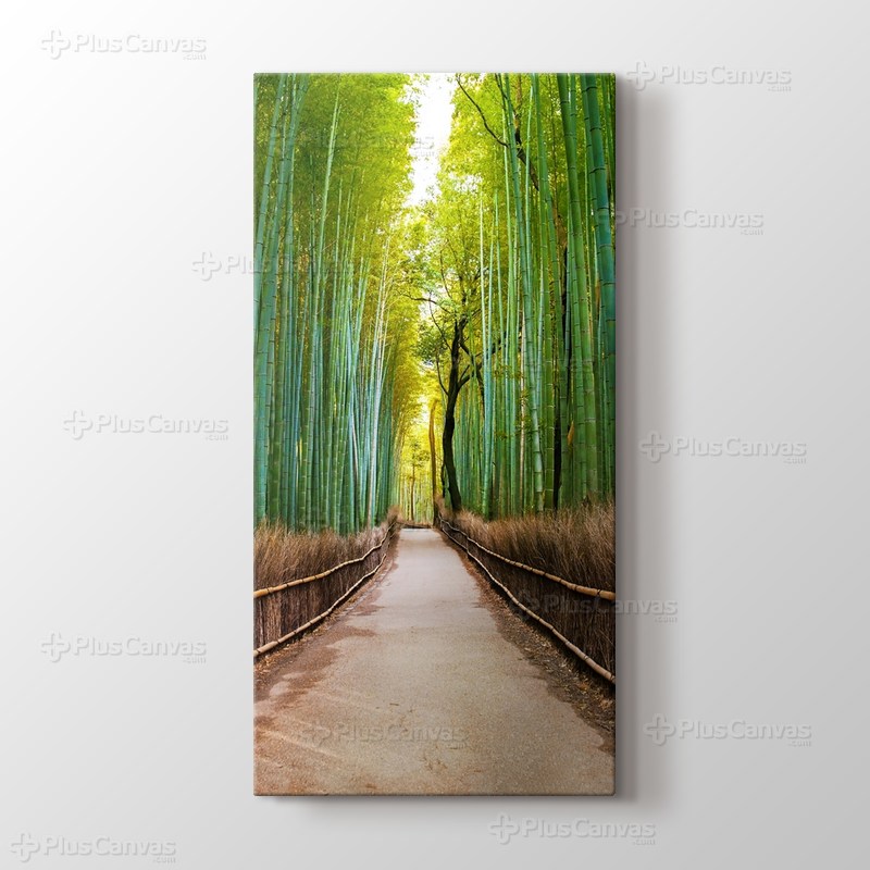 Bamboo Forest in Kyoto Japan görseli.