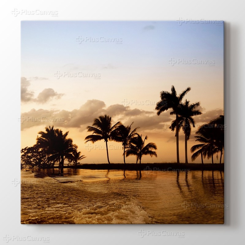Palms in Ocean görseli.