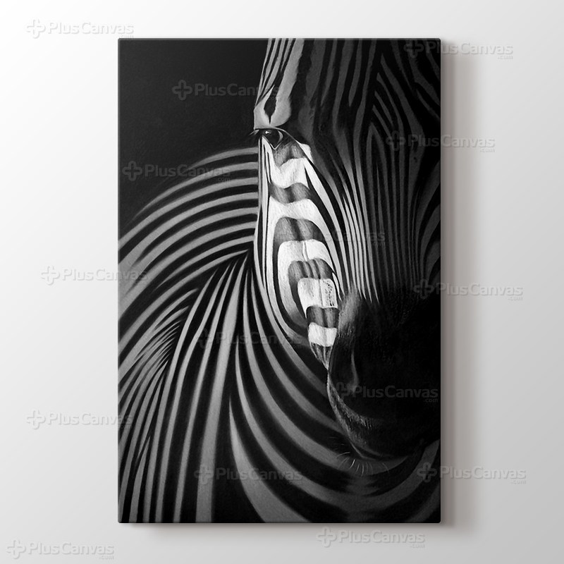 Zebra görseli.