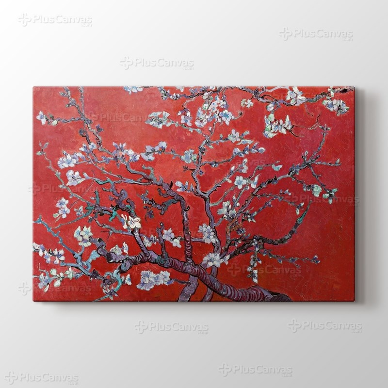 Çiçek açan badem ağacı görseli.