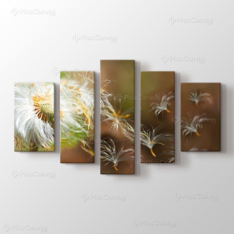 Karahindiba görseli.