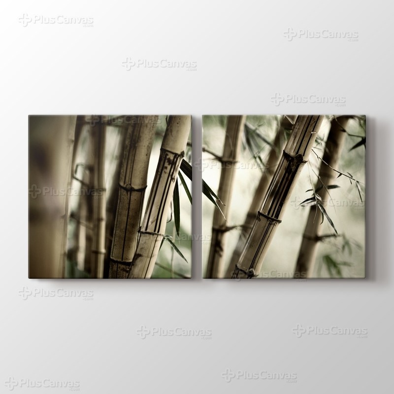 Bamboo görseli.