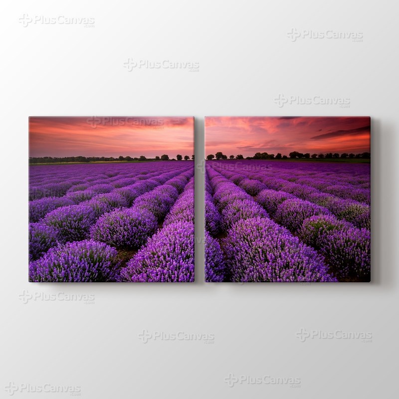 Stunning Landscape With Lavender Field At Sunset görseli.