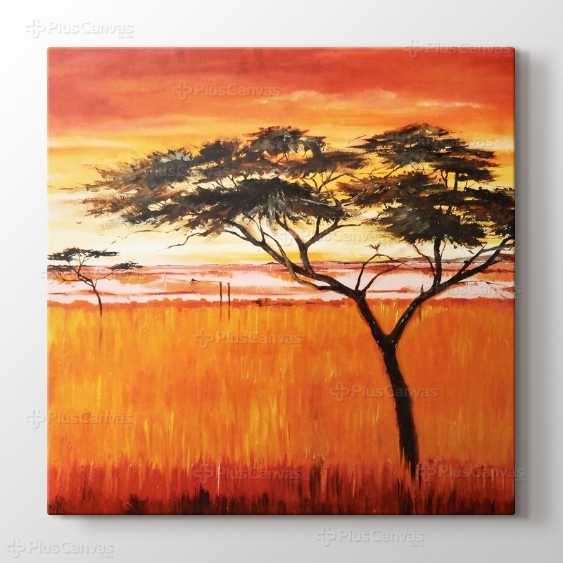 Afrika Ağaç görseli.