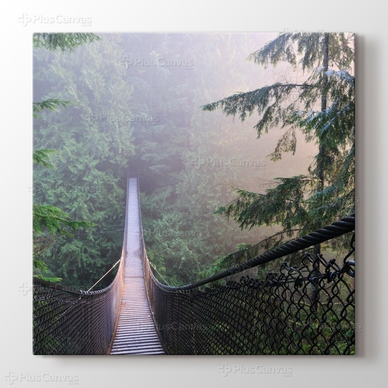 Kanada Lynn Canyon Park görseli.