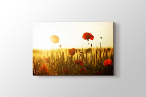 Sunset and Poppies görseli.