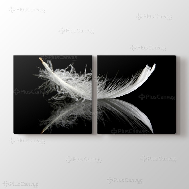 Siyah Üstünde Tüy görseli.