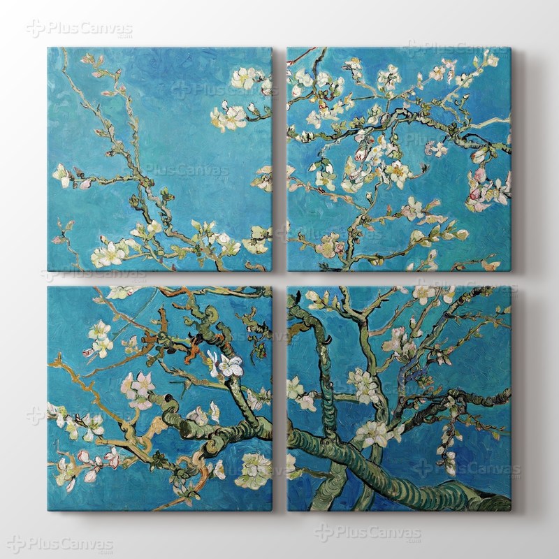 Çiçek Açan Badem Ağacı - Almond Blossom görseli.