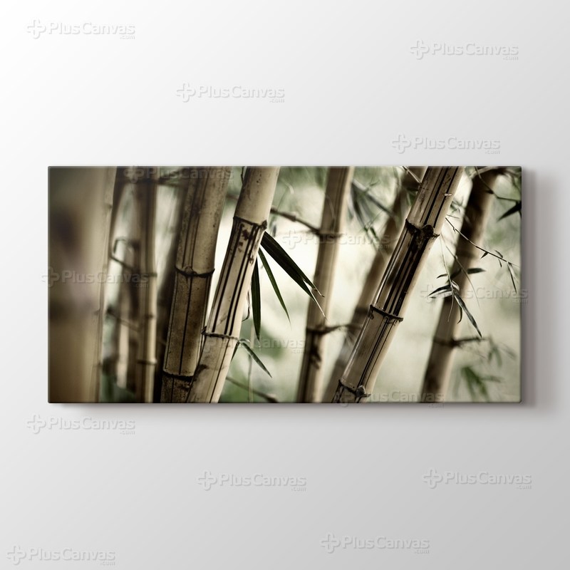 Bamboo görseli.