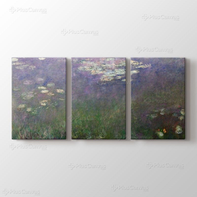 Water Lilies - Agapanthus görseli.