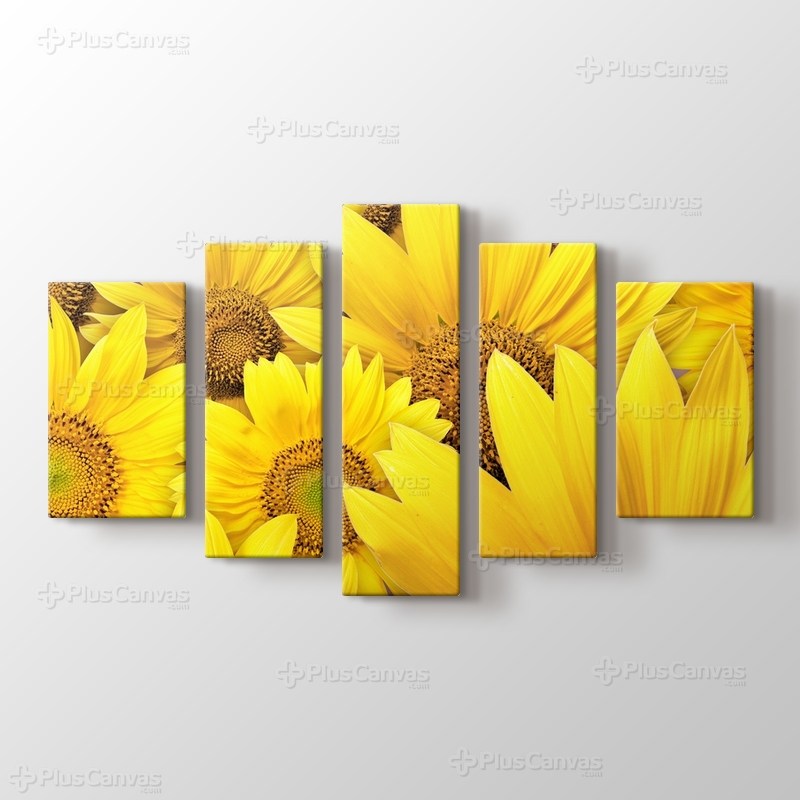 Sunflowers görseli.