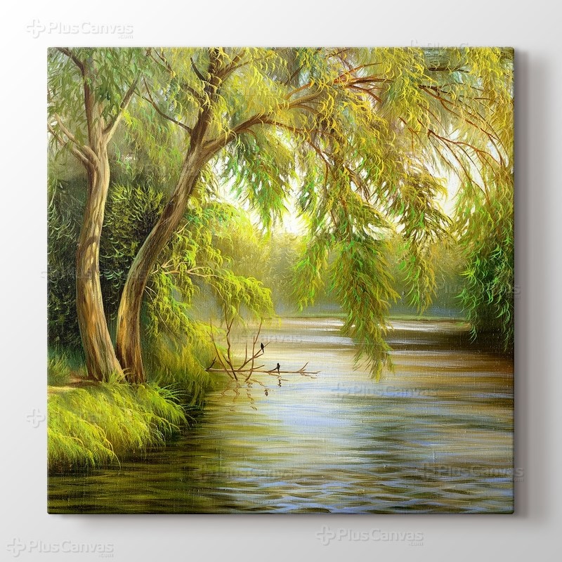 More Water görseli.